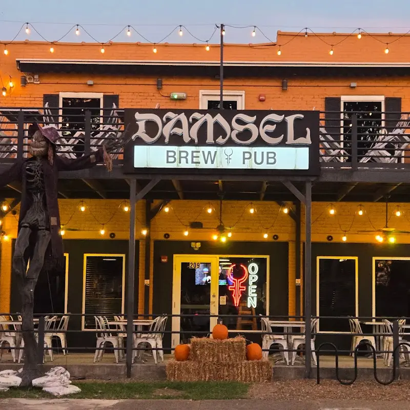 Damsel Brew Pub