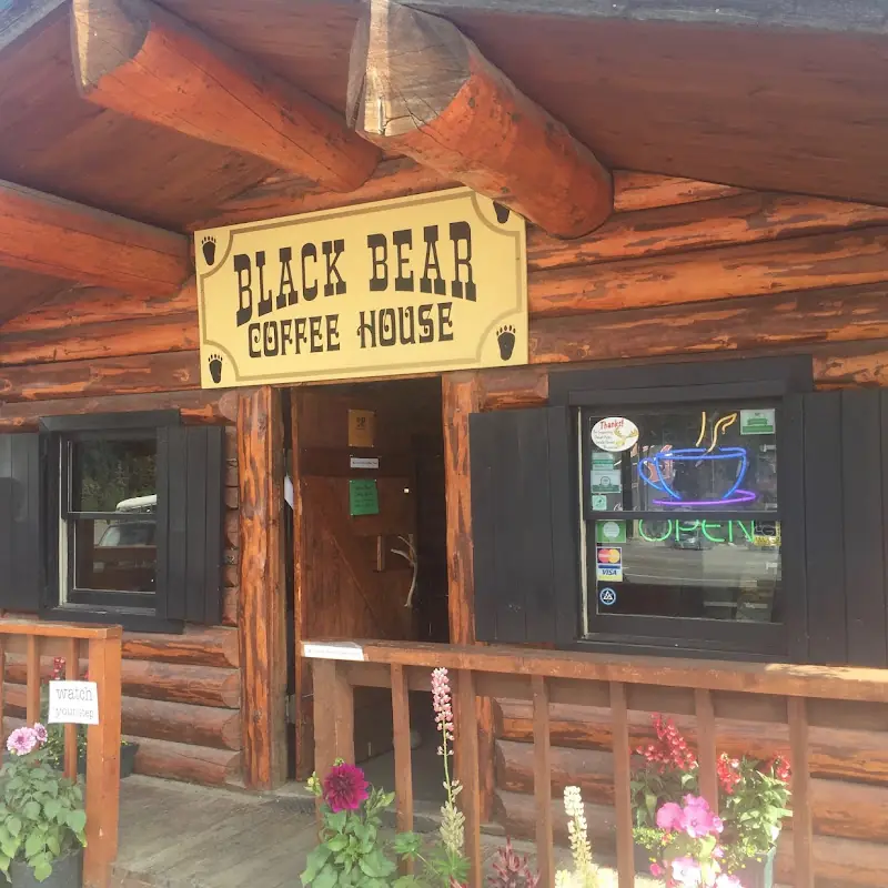 The Black Bear