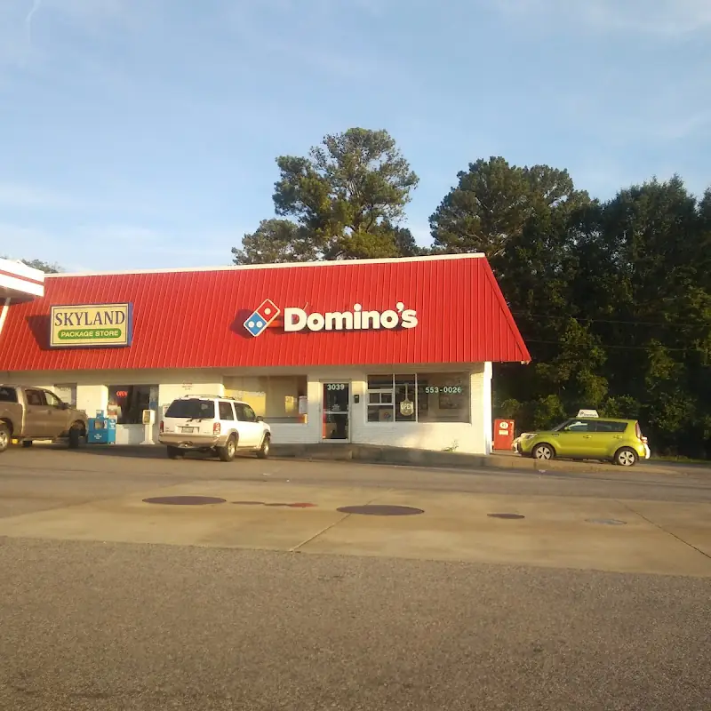 Domino's Pizza