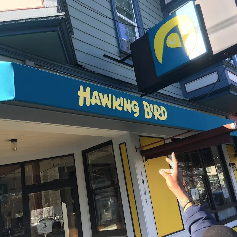 Hawking Bird