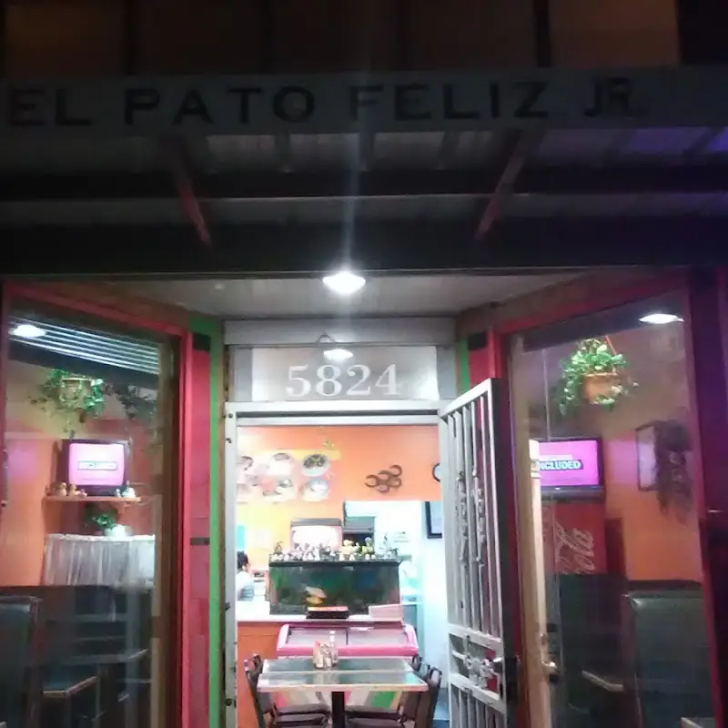 El Pato Feliz Jr
