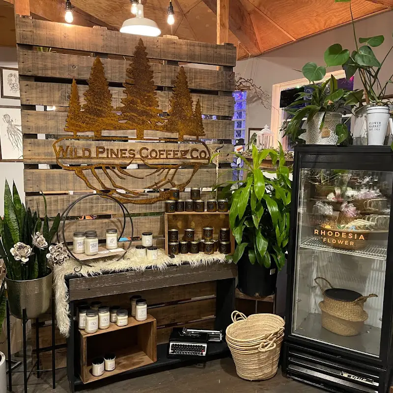 Alder + Co. / Wild Pines Coffee Co.
