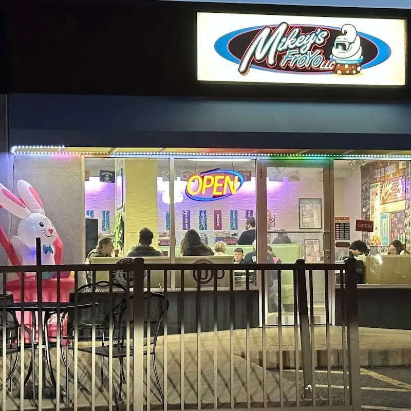 Mikey's Frozen Yogurt