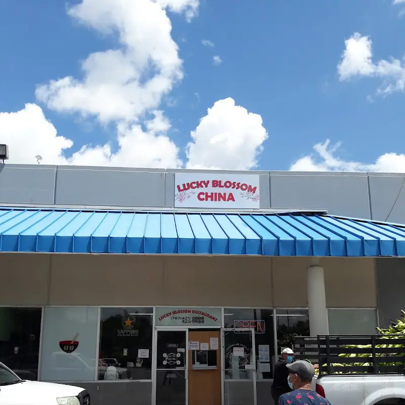 Ice Tea Lipton