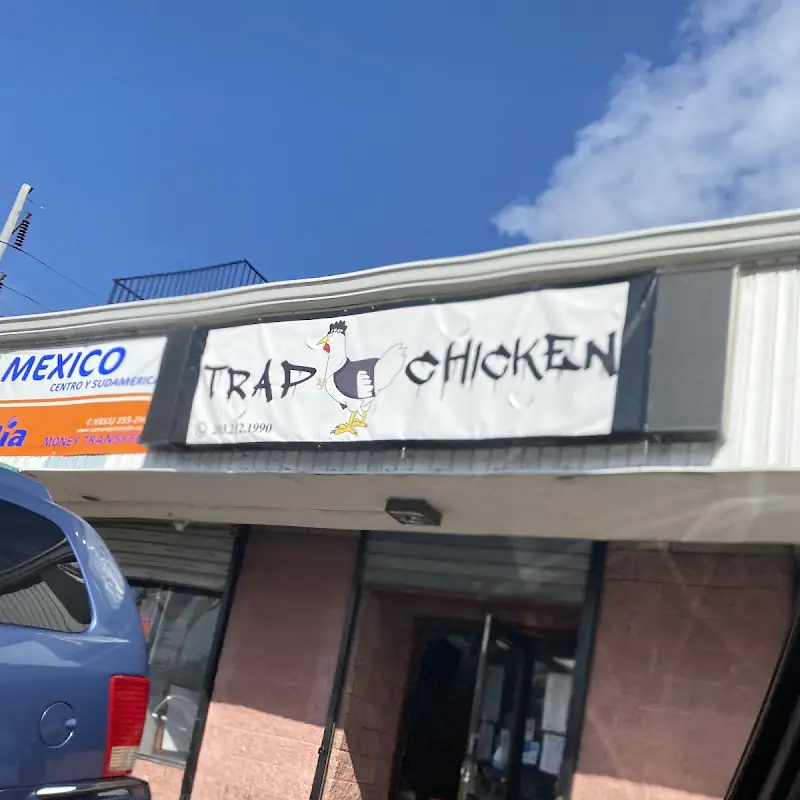 Trap chicken
