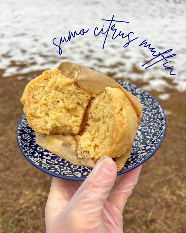 Laurel & Crumbs
