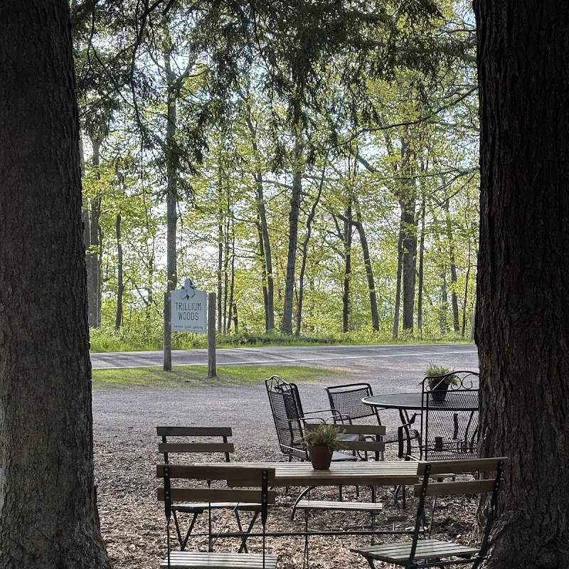 Trillium Woods Coffee