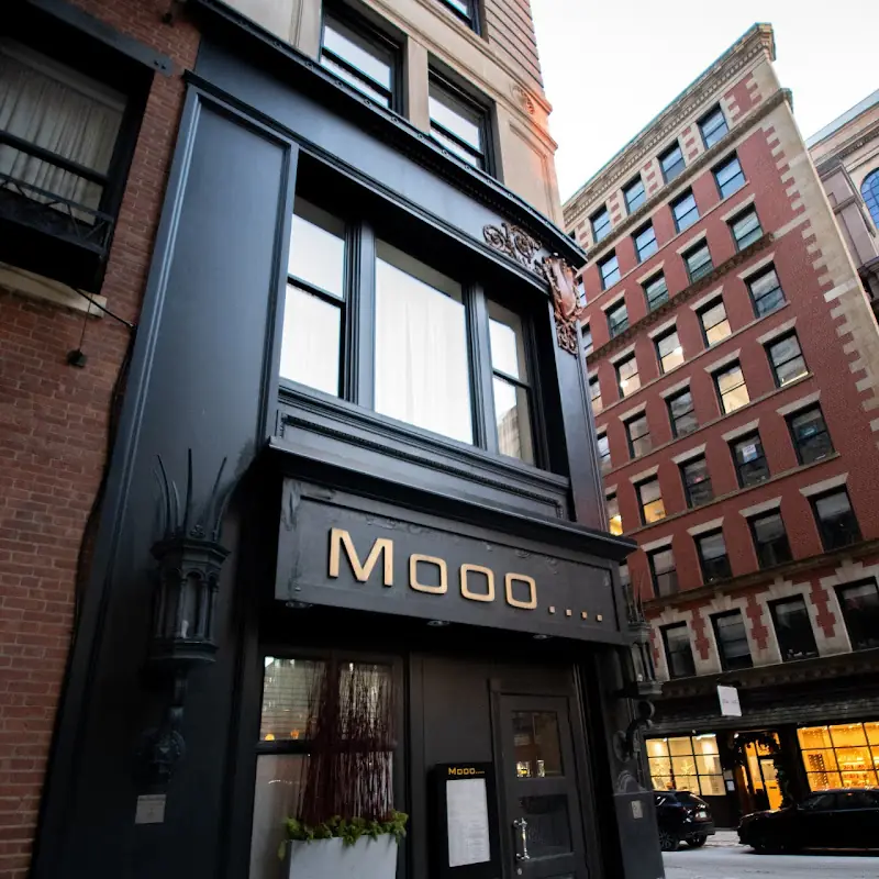 Mooo.... Beacon Hill