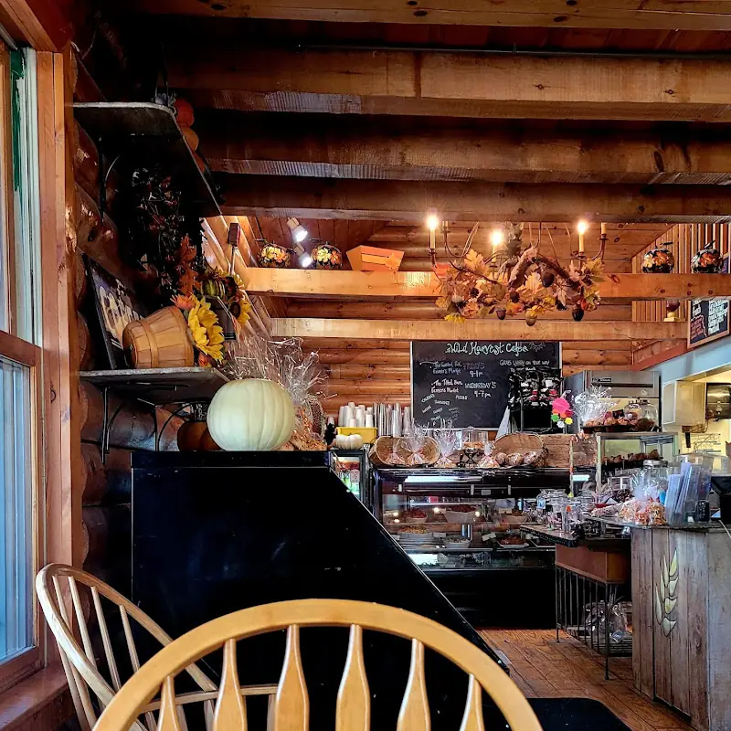 Wild Harvest Bakery & Cafe
