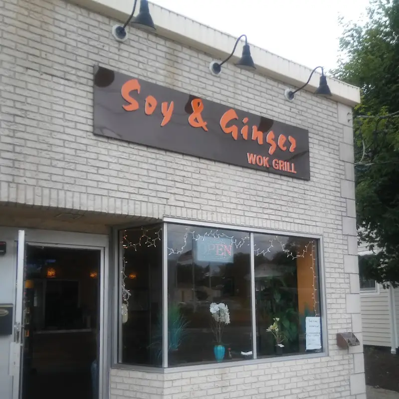 Soy & Ginger Wok Grill