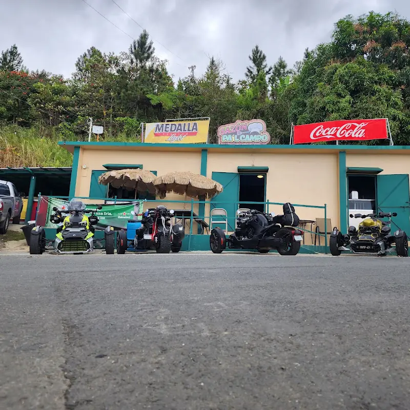 Sazón Pa'l Campo