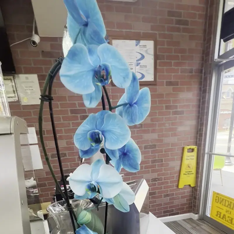 poke express
