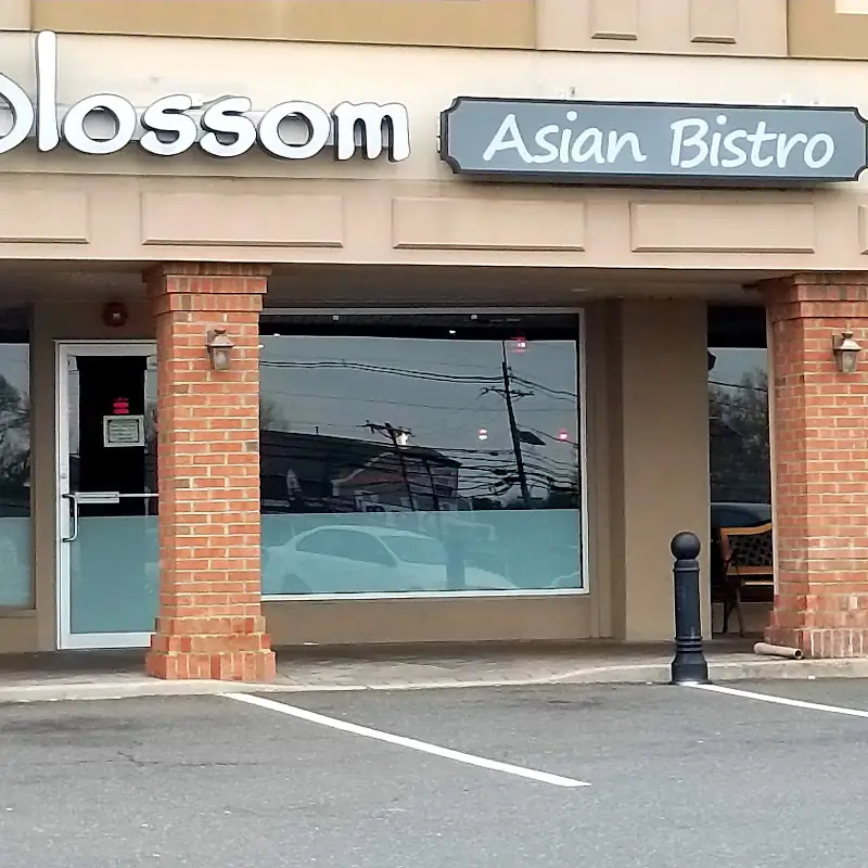 Blossom Asian Bistro