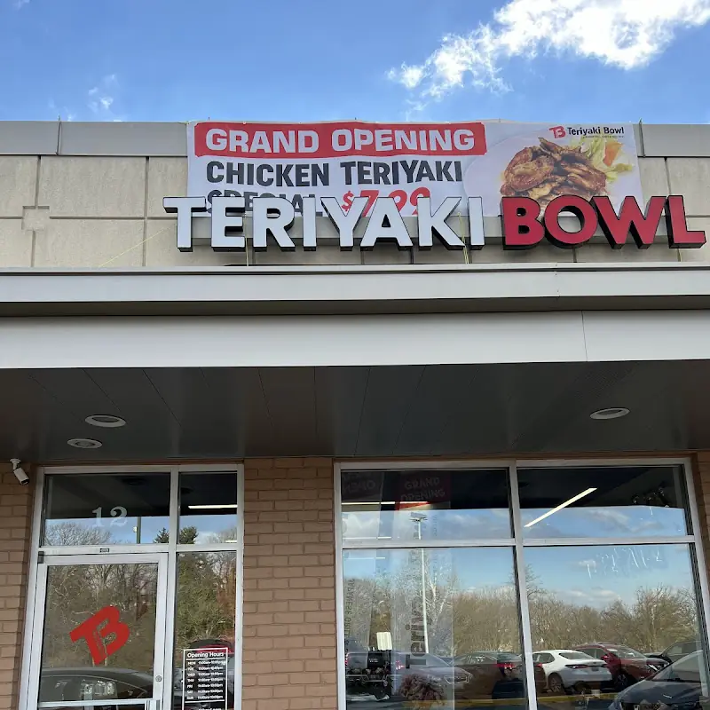 Teriyaki Bowl