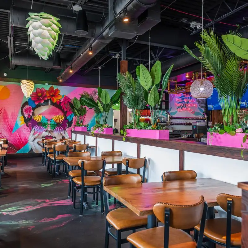 La Placita Modern Mexican Cuisine