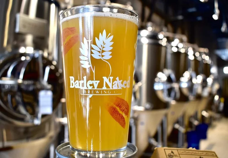Barley Naked Brewing Co.