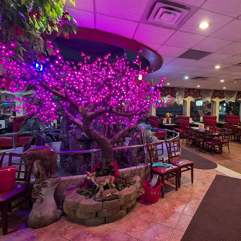 Asian Buffet & Mongolian Grill