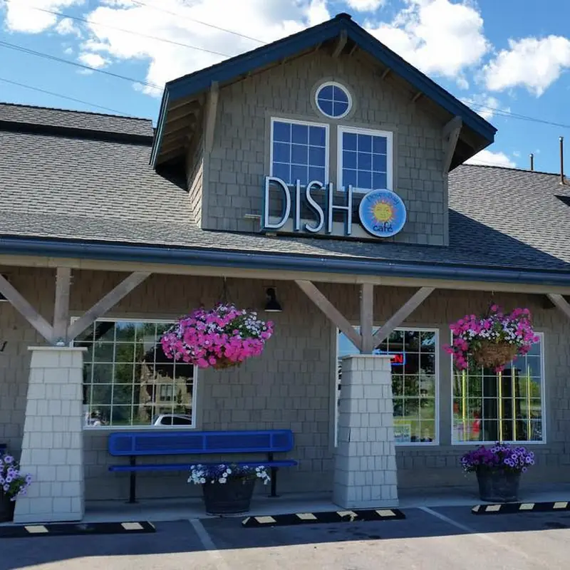 Dish at Dover Bay