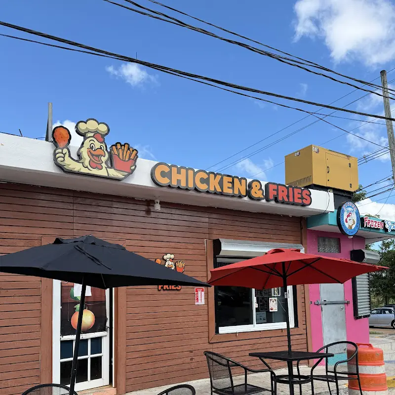 Chicken And Fries