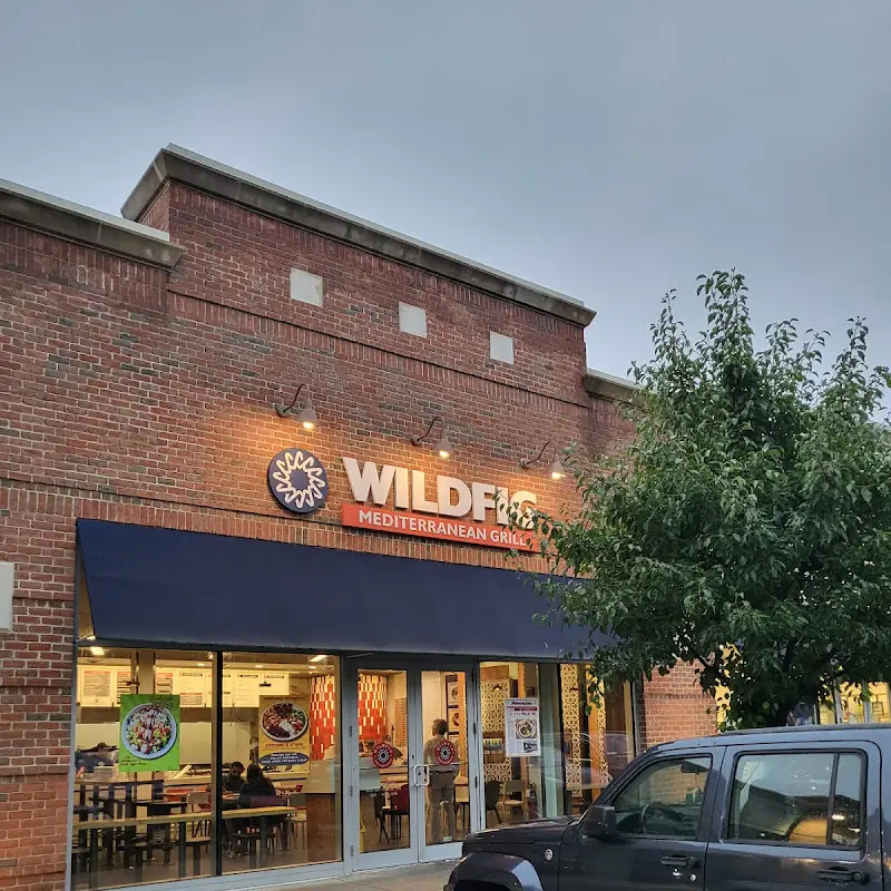 Wild Fig