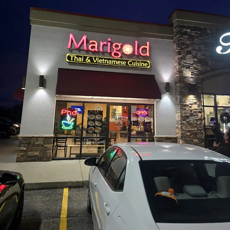 Marigold