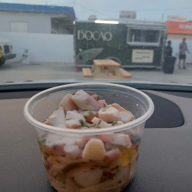 Bocao