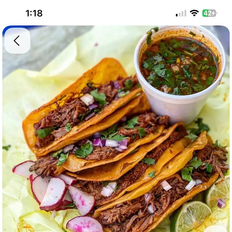 Cheese Quesadilla