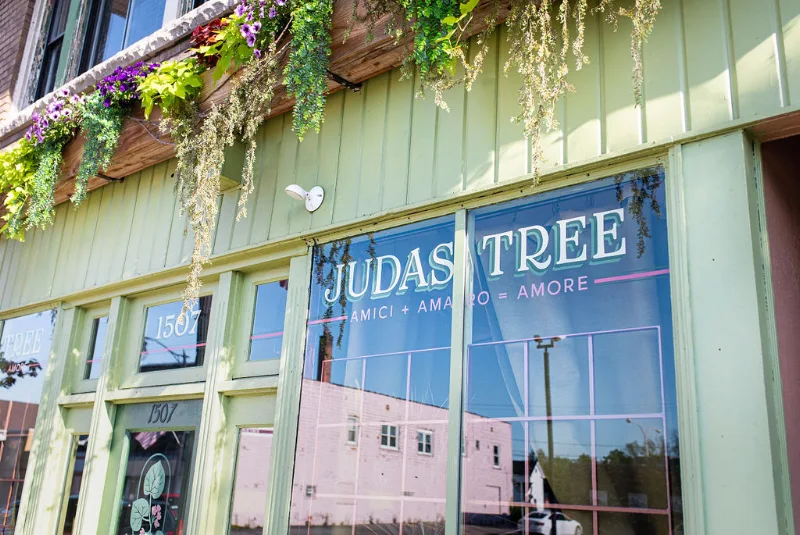 Judas Tree