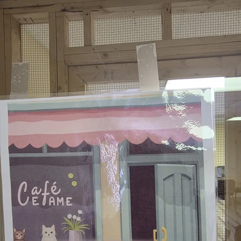 Cat Nap Cafe