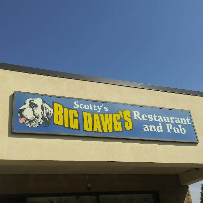 BBQ Cheddar Jack Dawg