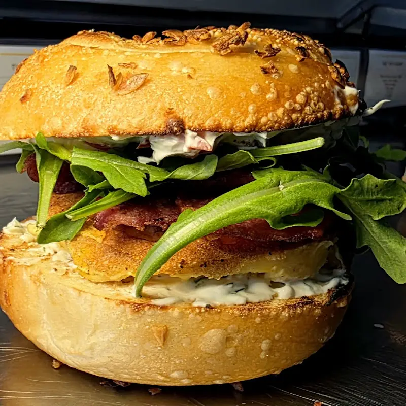 Steller Bagels