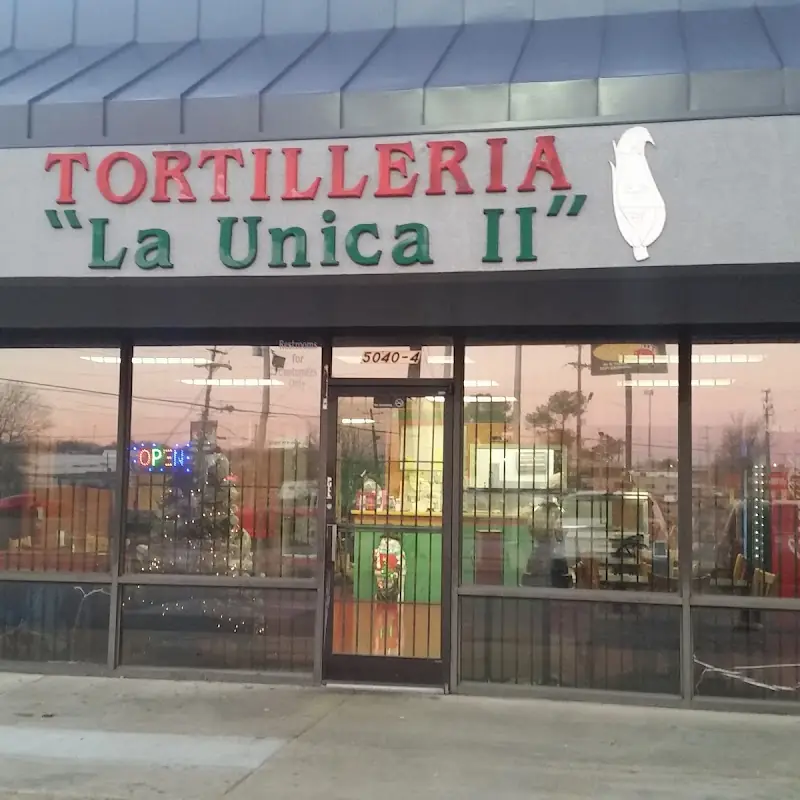 Pollo en Salsa Verde Tamale