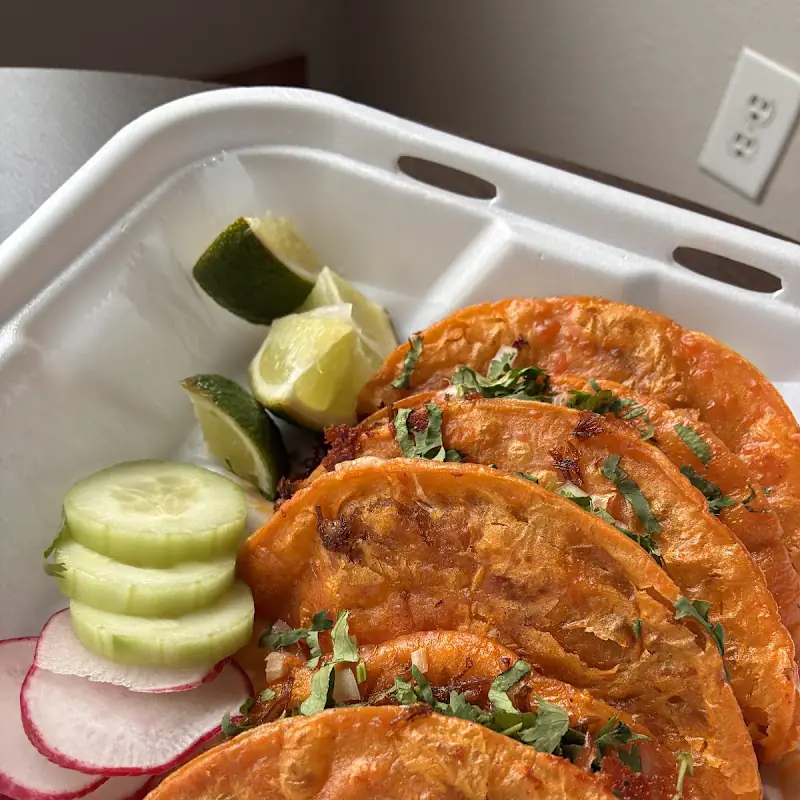 Torta Fajitas de Pollo / Chicken Fajitas