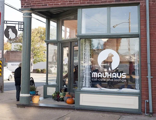 Mauhaus Cat Cafe