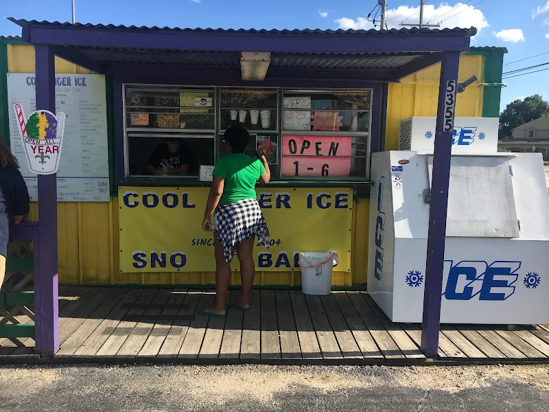 Cool Tiger Ice SnoBalls