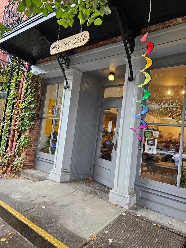 Alley Cat Cafe