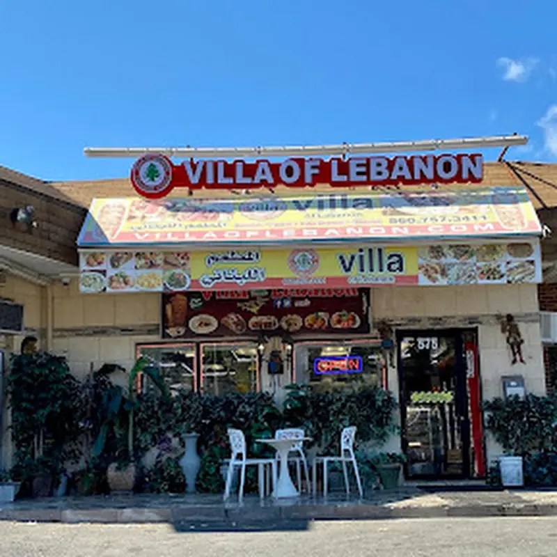 Villa Of Lebanon
