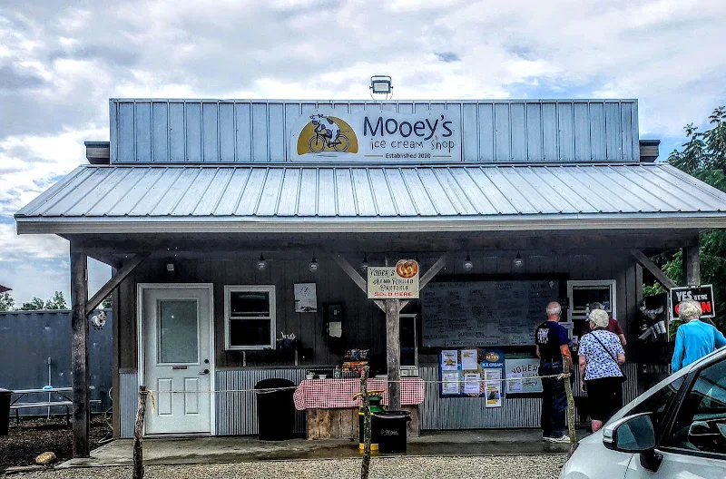 Mooey's Ice Cream