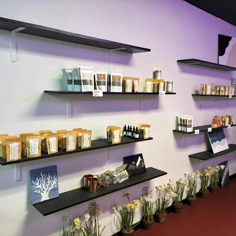 TeaPosh Naturals/ AunTea's Minerals