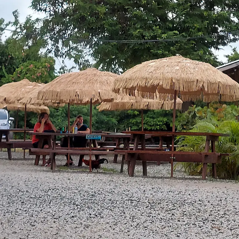 Rincón Del Café