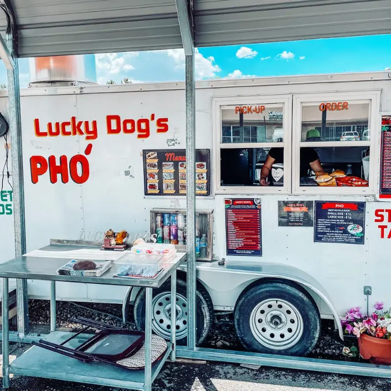 Lucky Dog’s