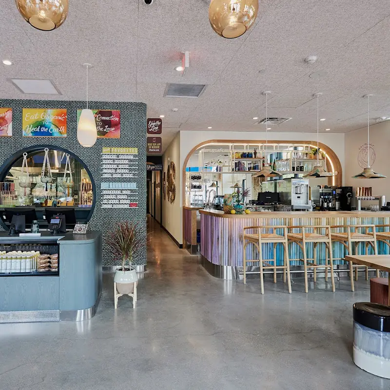 Life Alive Organic Cafe South End