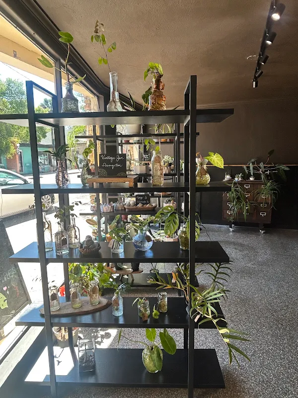 The New Amsterdam Botanical Lab