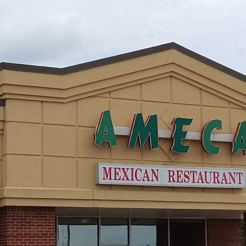 Ameca