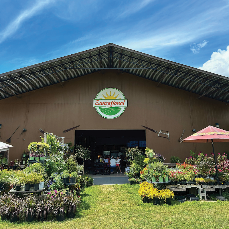 SUNSATIONAL FARMS UMATILLA