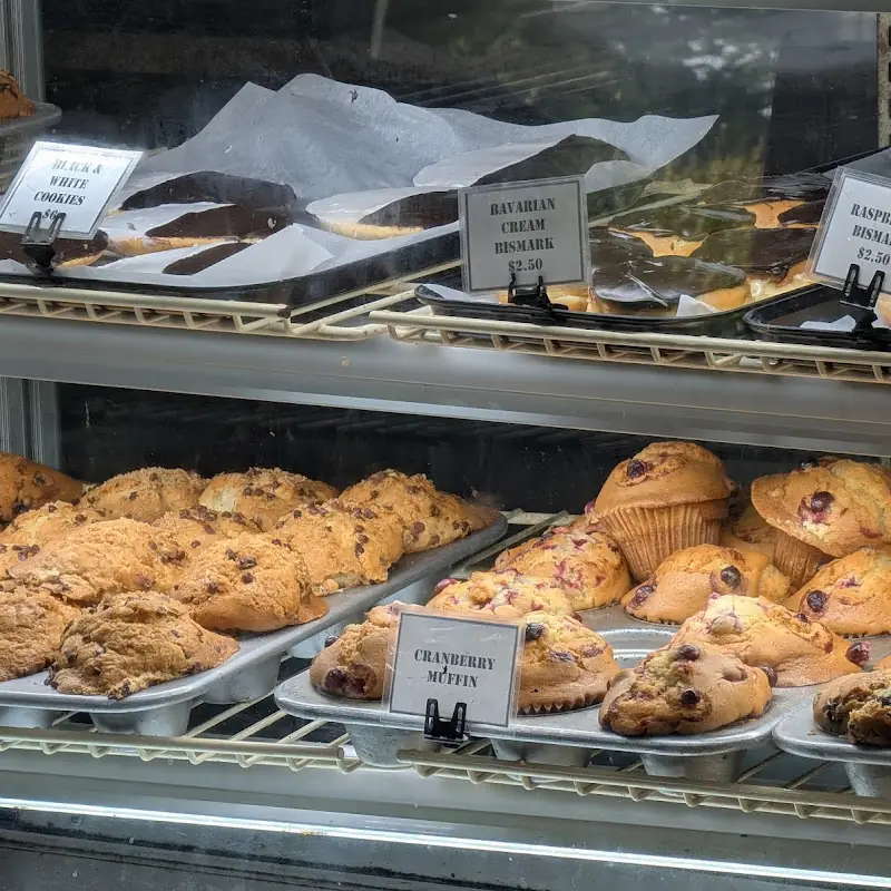 Chocolate Chip Muffin