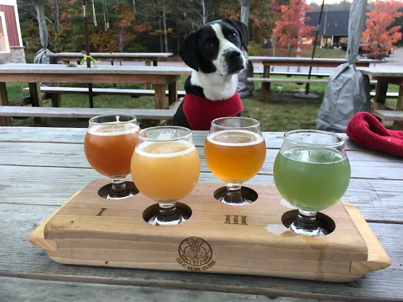Odd By Nature Brewing