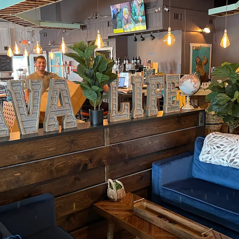 ($) Corporate - Food - Bula Bites - Spanakopita