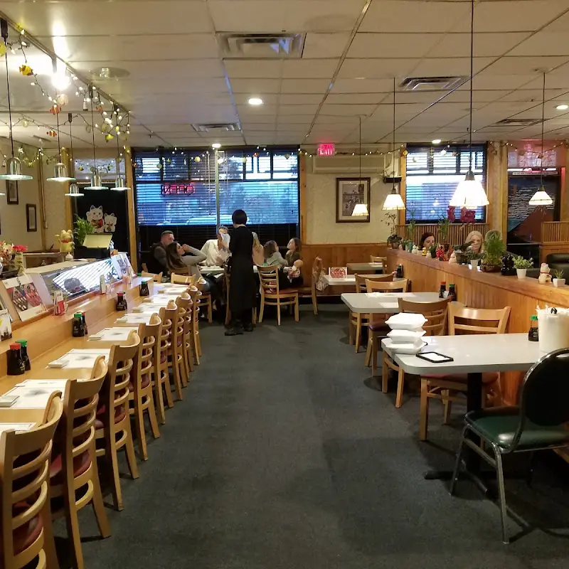 Nekko Sushi & Cuisine