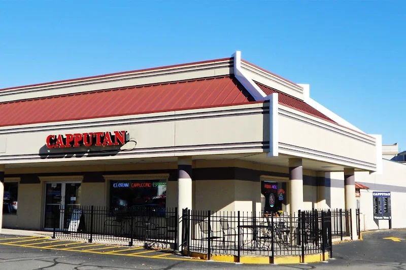 Capputan LLC